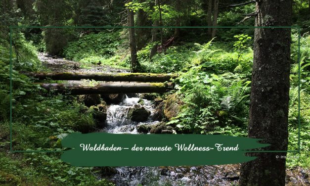 Waldbaden – der neueste Wellness-Trend